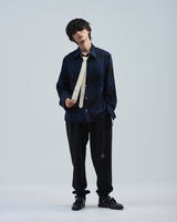 BED j.w. FORD "Office Casual – Blue" Tie Check Shirts｜ベッドフォード "オフィスカジュアル – ブルー" タイ付きチェックシャツ メンズモデル着用