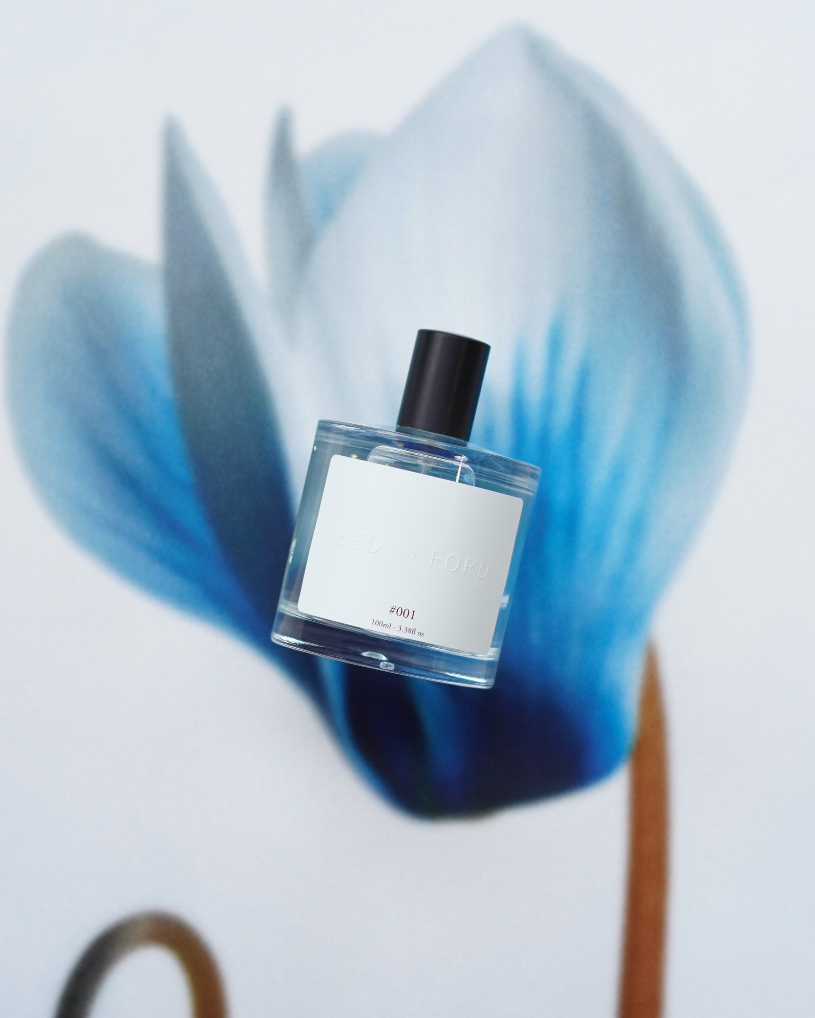 fragrance001_1600x.jpg?v=