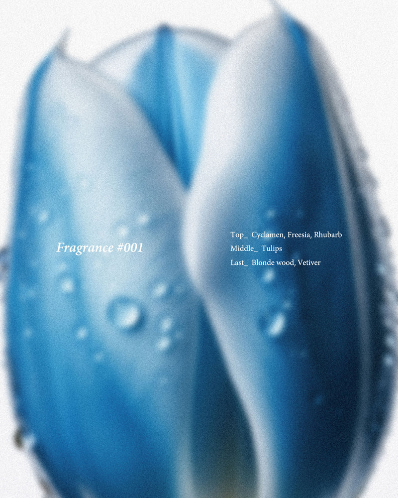 BED j.w. FORD "Fragrance #001"｜ベッドフォード "フレグランス #001"