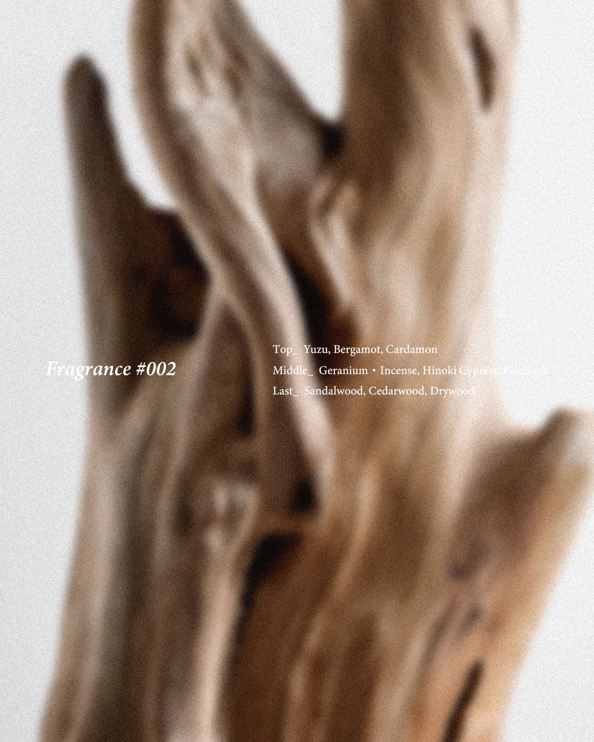 Things｜BED j.w. FORD Official Website